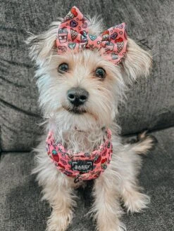 Dog Sailor Bow - I Chews You -Furfinity Cheap Shop LIFEOF KIP 2 f4506832 1212 47cb a2fc c1766e7fa769