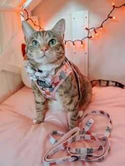 Cat Step-In Harness - Smitten Kittens -Furfinity Cheap Shop LIFEOF KIP a04eaccc 68b8 4614 923d 5447b5a8b8db