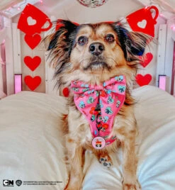 Dog Sailor Bow - The Powerpuff Girls™ (Love) -Furfinity Cheap Shop LIFE AS CHANEL 3