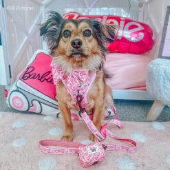 Dog Four Piece Bundle - BARBIE™ Malibu 35 Dog Four Piece Bundle - BARBIE™ Malibu -Furfinity Cheap Shop LIFE AS CHANEL 1