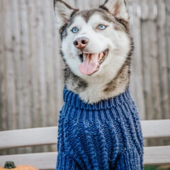 Dog Cable Knit Sweater - Navy -Furfinity Cheap Shop LILLY CLOVER HUSKY 1