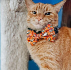 Cat Bowtie - Garfield™ -Furfinity Cheap Shop LILLY CLOVER HUSKY 2 582c59d4 3826 426c 8bd9 f9956f6d5d83