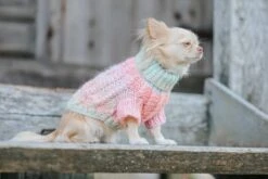 Dog Cable Knit Sweater - Pastel -Furfinity Cheap Shop LILL PIPPIN 1