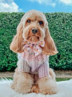 Dog Cable Knit Sweater - Pastel -Furfinity Cheap Shop LILY CUTE CAVOODLE 2