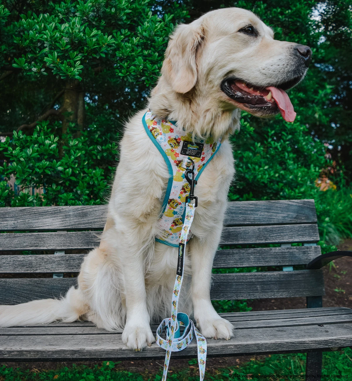 Dog Four Piece Bundle - SpongeBob SquarePants™ Bikini Bottom 14 Dog Four Piece Bundle - SpongeBob SquarePants™ Bikini Bottom - Image 12