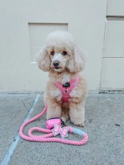 Potty Pal - Pink Bow -Furfinity Cheap Shop LIZZIELIKEMCGUIRE 3 06d992bc ec6e 46ea a6a5 53bd0f46e786