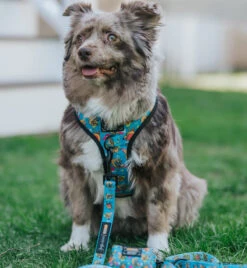 Dog Waste Bag Holder - Nickelodeon CatDog™ 11 Dog Waste Bag Holder - Nickelodeon CatDog™ -Furfinity Cheap Shop LOVEMAYALIFE 3 704a9ff6 8539 46bd b31e 3a55221fadcc