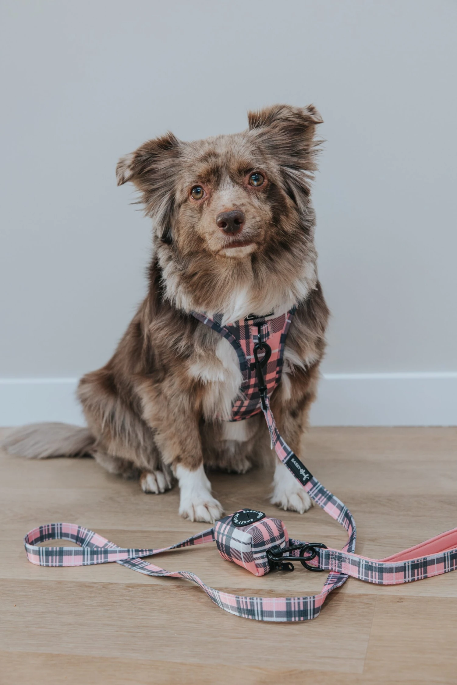 Dog Waste Bag Holder - Pawberry 8 Dog Waste Bag Holder - Pawberry - Image 6