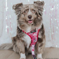 Dog Four Piece Bundle - Mean Girls™ -Furfinity Cheap Shop LOVEMAYALIFE 69c17b01 4218 49db 96b3 260a7fdb48e2