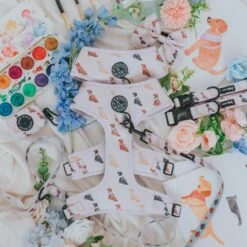 Dog Four Piece Bundle - Loyal Labradors -Furfinity Cheap Shop LOYAL LABRADOR DOG PRODUCT 2