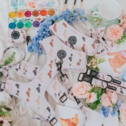 Dog Adjustable Harness - Loyal Labradors -Furfinity Cheap Shop LOYAL LABRADOR DOG PRODUCT 3