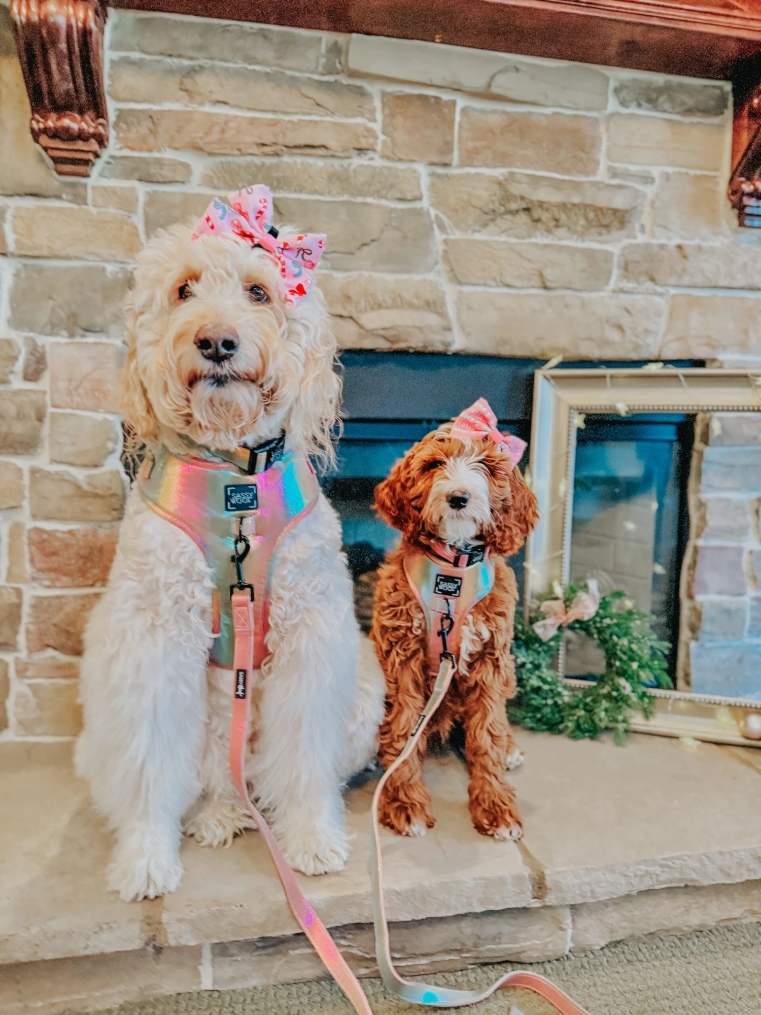 Dog Leash - The Night Life 13 Dog Leash - The Night Life - Image 11