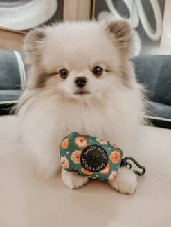 Dog Waste Bag Holder - Pawfect Poms -Furfinity Cheap Shop LUNATHEPOMBABY 3