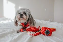 Dog Waste Bag Holder - Lucky Dragon 16 Dog Waste Bag Holder - Lucky Dragon -Furfinity Cheap Shop LUNATHEYORKIEPOODLE 1 76dec59d 80d7 4e88 8d5c c07e639141fa