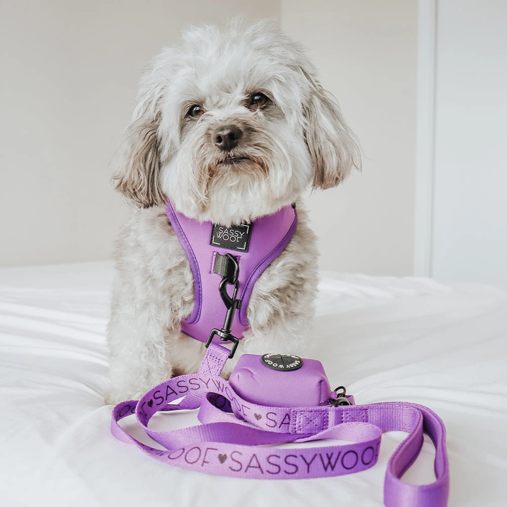 Dog Two Piece Bundle - Neon Purple 9 Dog Two Piece Bundle - Neon Purple - Image 7