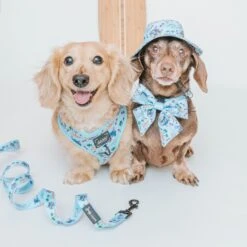 Dog Bucket Hat - Disney's Stitch -Furfinity Cheap Shop Lilo Stitch Cover Photo 3 928474e7 34f9 42c0 bcc4 3cf683775f22