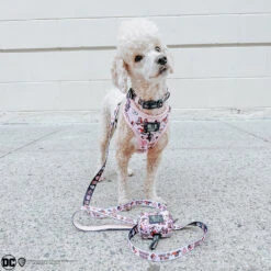 Dog Two Piece Bundle -Harley Quinn™ -Furfinity Cheap Shop Lizzielikemcguire 1 eb0e9ff6 1fa5 4453 9b8c 386f6afa4206