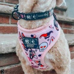 Dog Four Piece Bundle - Harley Quinn™ -Furfinity Cheap Shop Lizzielikemcguire 3