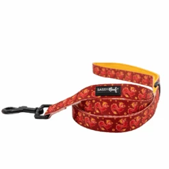 Collar Three Piece Bundle - Lucky Dragon -Furfinity Cheap Shop Lunar New Year WBG leash 3 1