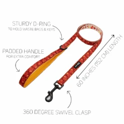 Dog Two Piece Bundle - Lucky Dragon -Furfinity Cheap Shop Lunar New Year WBG leash guide 1690df10 36c5 45e6 aed2 04e064b7a8a3