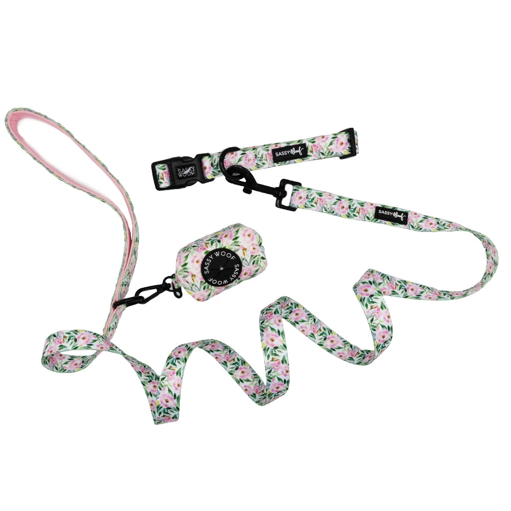 Collar Three Piece Bundle - Magnolia 3 Collar Three Piece Bundle - Magnolia