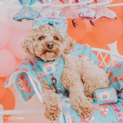 Dog Two Piece Bundle - BARBIE™ On A Roll 21 Dog Two Piece Bundle - BARBIE™ On A Roll -Furfinity Cheap Shop MAISEYJANE21 1 524f4b24 21bf 472e a4a7 b40f748d566a