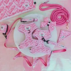 Dog Four Piece Bundle - BARBIE™ Malibu 29 Dog Four Piece Bundle - BARBIE™ Malibu -Furfinity Cheap Shop MALIBU BARBIE PROD PHOTOS