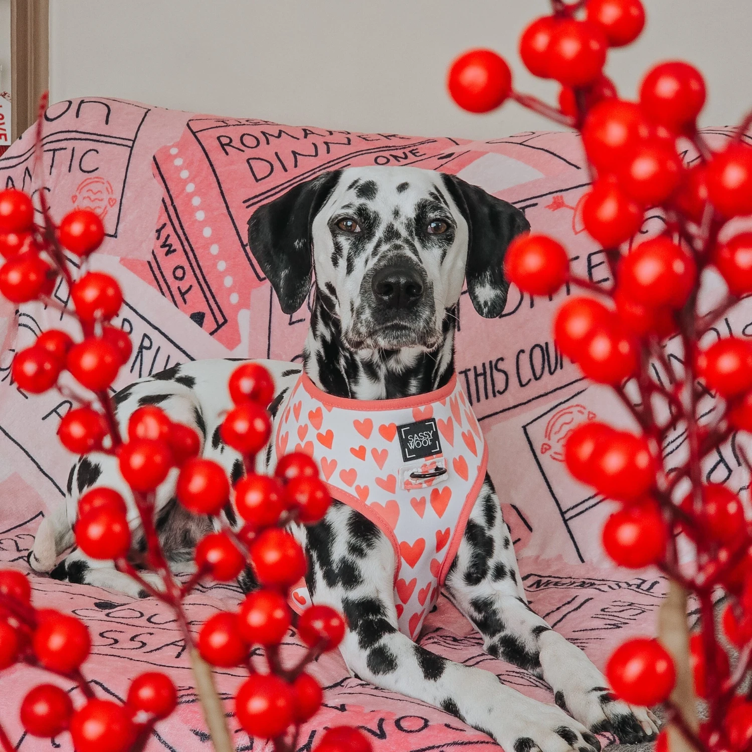 Dog Reversible Harness - Dolce Rose 12 Dog Reversible Harness - Dolce Rose - Image 10