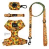 Dog Four Piece Bundle - Mango Tango -Furfinity Cheap Shop MANGO TANGO BUNDLE PATENTED