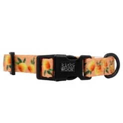 Dog Four Piece Bundle - Mango Tango -Furfinity Cheap Shop MANGO TANGO COLLAR 2