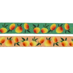 Dog Leash- Mango Tango -Furfinity Cheap Shop MANGO TANGO LEASH 3