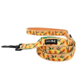 Dog Leash- Mango Tango