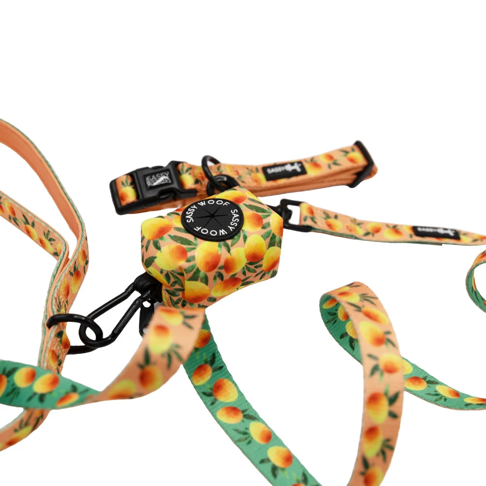 Collar Three Piece Bundle - Mango Tango 4 Collar Three Piece Bundle - Mango Tango - Image 2