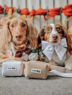 Dog Waste Bag Holder - Best Pup -Furfinity Cheap Shop MAPLE AND GUS 2 c9af2d07 2e28 44a3 b7e6 c1c9b07835b2