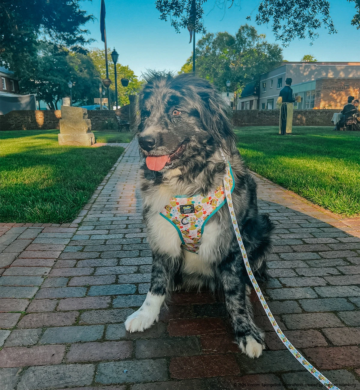 Dog Four Piece Bundle - SpongeBob SquarePants™ Bikini Bottom 15 Dog Four Piece Bundle - SpongeBob SquarePants™ Bikini Bottom - Image 13