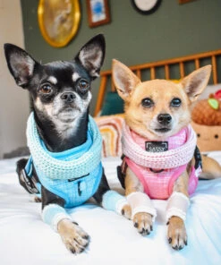 Dog Infinity Scarf - Blue -Furfinity Cheap Shop MARILYNCHIHUAHUA 2 6a0aeeba 2bda 44bd 9cc8 452c8c1b727f