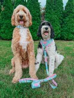 Dog Two Piece Bundle - Polly Pocket™ -Furfinity Cheap Shop MATILDAROSEGOLDENDOODLE 1 9bbfb207 71d7 4b11 9e30 32290431db9c