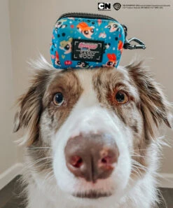 Dog Waste Bag Holder - The Powerpuff Girls™ (Blue) -Furfinity Cheap Shop MILATHEAUSSIEDOG 4