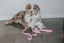 Dog Three Piece Bundle - Strawberry Milk -Furfinity Cheap Shop MILATHEAUSSIEDOG 1 97877cf7 ab36 4cc0 8fcc 2d0e3e5d0bc3 1