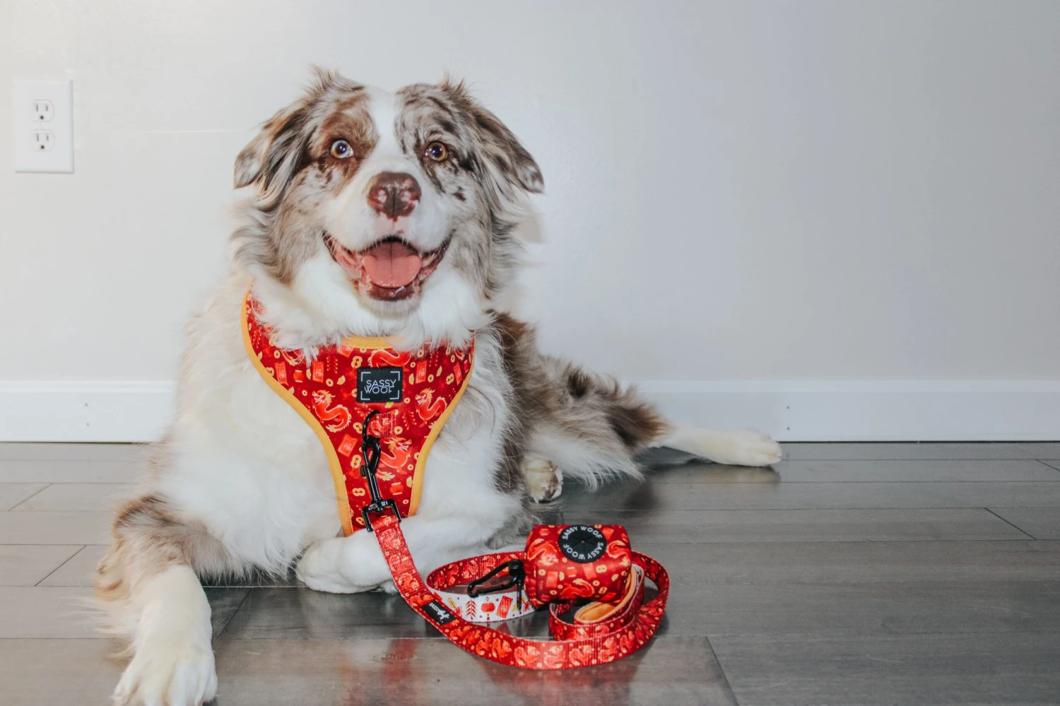 Dog Four Piece Bundle - Lucky Dragon 10 Dog Four Piece Bundle - Lucky Dragon - Image 8