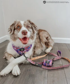 Dog Four Piece Bundle - Willy Wonka & The Chocolate Factory™ -Furfinity Cheap Shop MILATHEAUSSIEDOG fba79641 e539 4027 b840 34fa452a6261