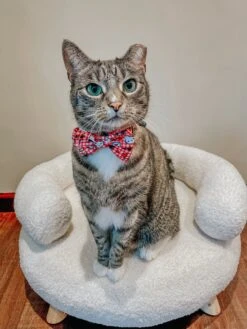 Cat Collar - Hello Kitty® Red Classic -Furfinity Cheap Shop MILOCAT SWEETNESS 1