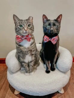 Cat Bowtie - Hello Kitty® Red Classic -Furfinity Cheap Shop MILOCAT SWEETNESS 2