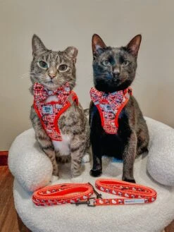 Cat Step-In Harness - Hello Kitty® Red Classic -Furfinity Cheap Shop MILOCAT SWEETNESS 3 1