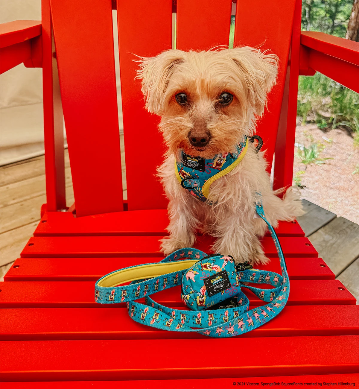 Dog Two Piece Bundle -SpongeBob SquarePants™ Jelly Fishin' 13 Dog Two Piece Bundle -SpongeBob SquarePants™ Jelly Fishin' - Image 11