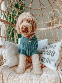 Dog Cable Knit Sweater - Dark Green -Furfinity Cheap Shop MINIMERLEGIRLS b7bea38c f9f9 401e 898c cc6d2dac8582