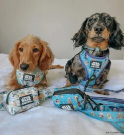 Dog Waste Bag Holder - STAR WARS™ The Mandalorian™ -Furfinity Cheap Shop MINIWEENSBENNYANDJASPER 3 ea34b7ea daf5 43de a0c9 878ae8a105b5