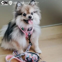 Dog Waste Bag Holder - The Powerpuff Girls™ (Pink) -Furfinity Cheap Shop MISS.MILLIE.POM PPG 1