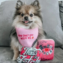 Dog Toy - Mean Girls™ 14 Dog Toy - Mean Girls™ -Furfinity Cheap Shop MISS MILLIE POM 2 66daa245 4d31 4ea5 806a e0338b256d33
