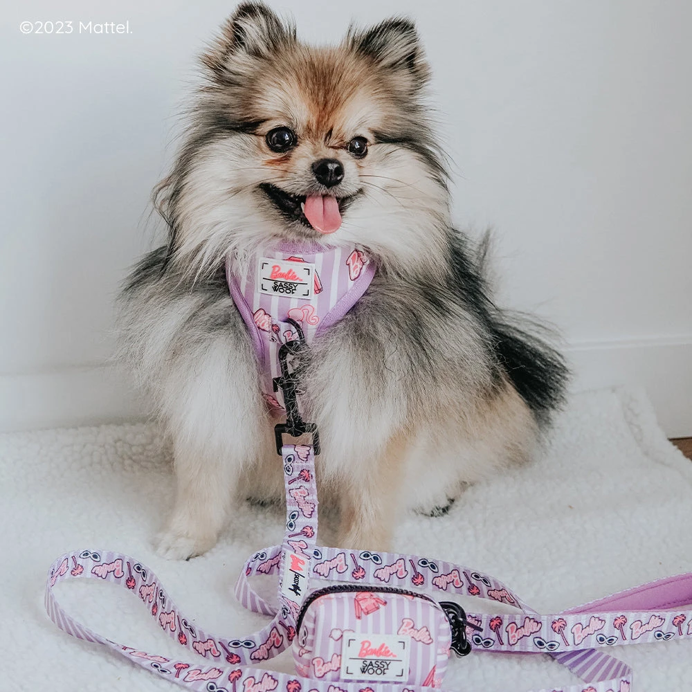 Dog Four Piece Bundle - BARBIE™ Closet Goals 18 Dog Four Piece Bundle - BARBIE™ Closet Goals - Image 16